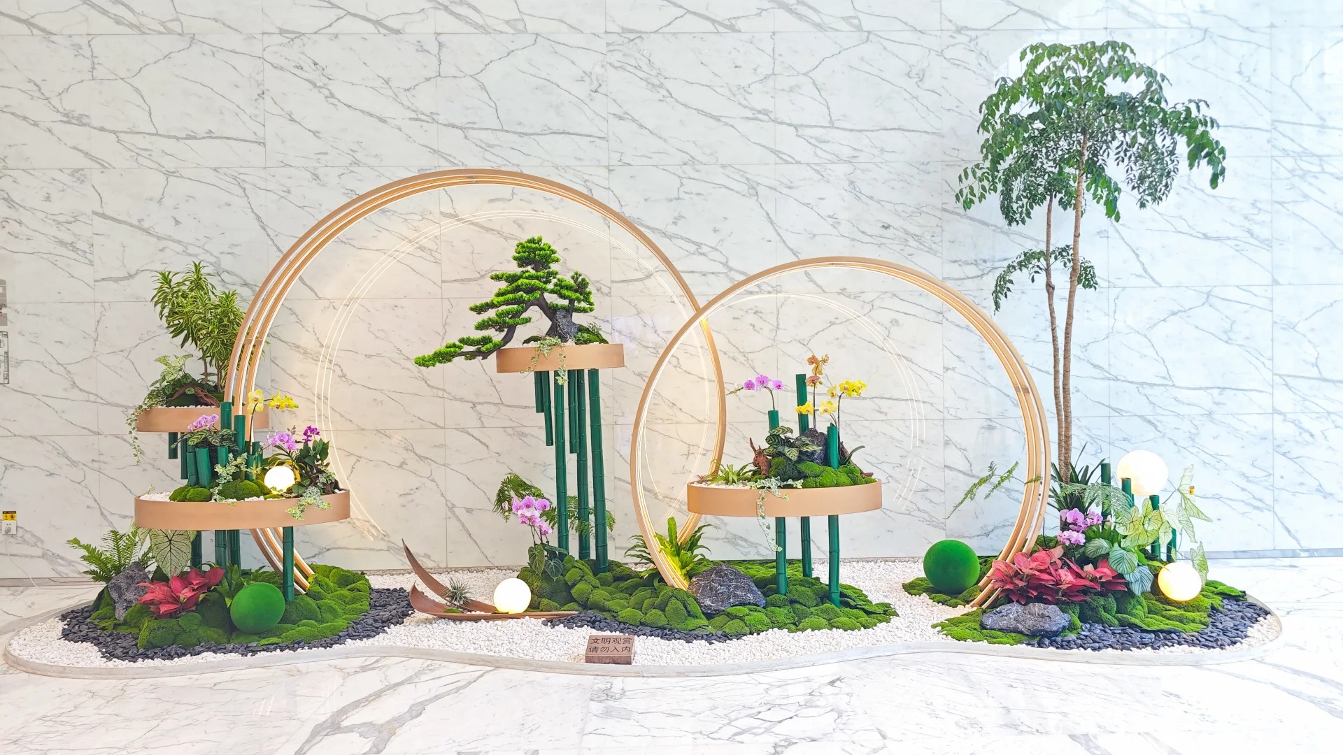 专业余姚植物租赁，给您四季清新绿意